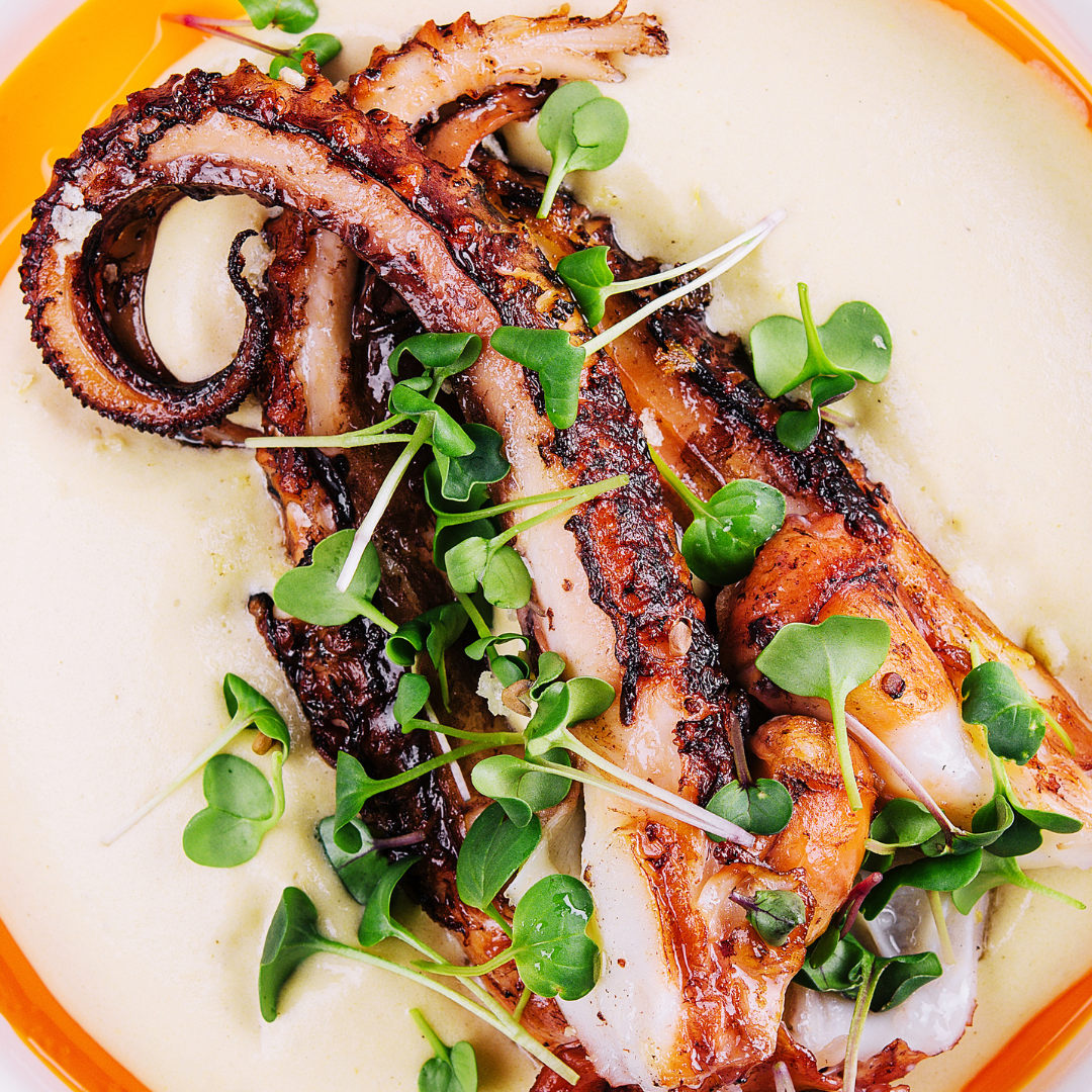 Gourmet Wild-Caught Spanish Octopus