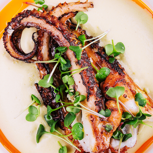 Gourmet Wild-Caught Spanish  Octopus