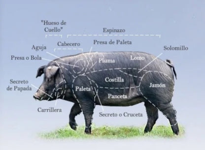 Fermin Pork Iberico Bellota (Solomillo)Tenderloin